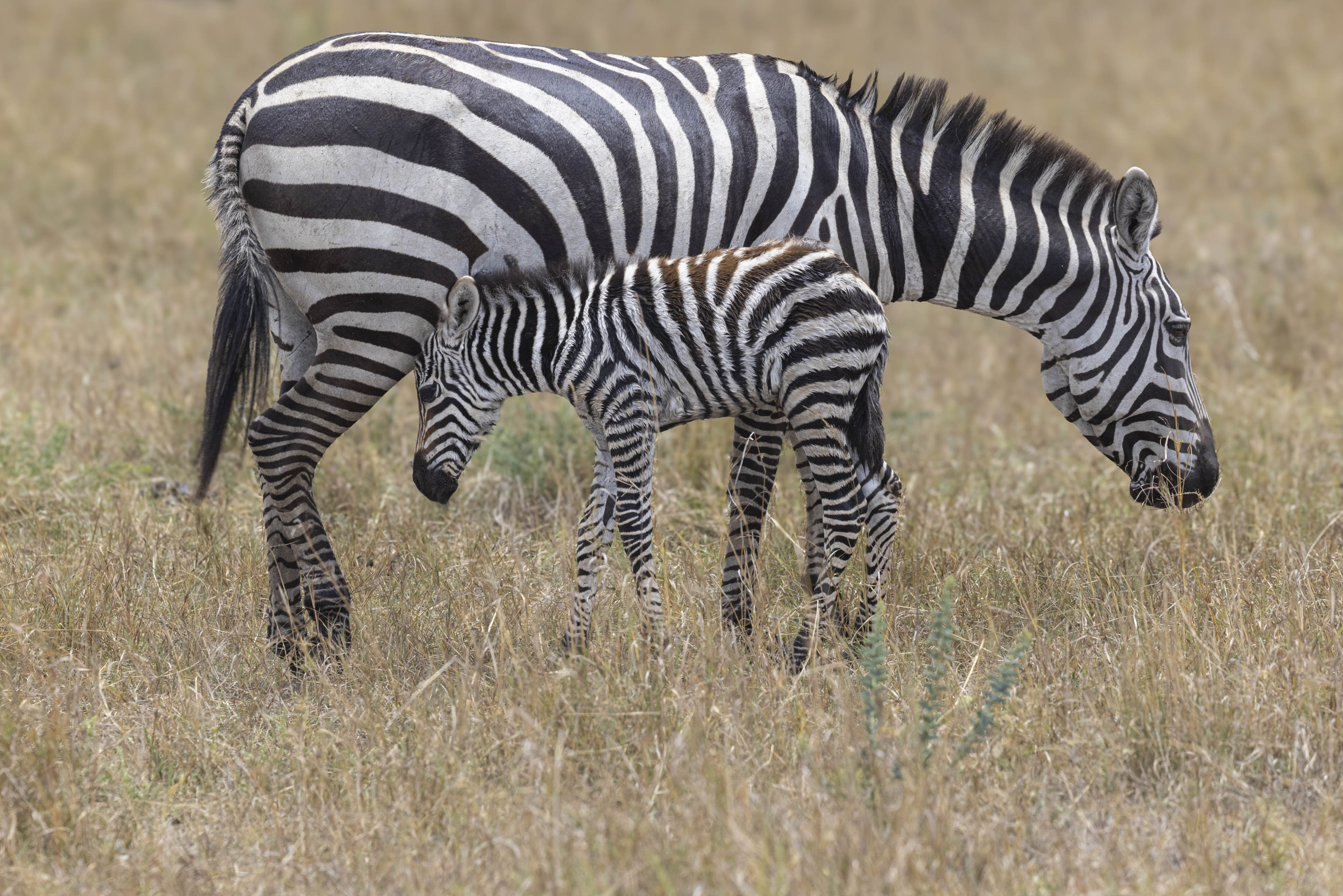 November 10, 2022-113218-2.jpg